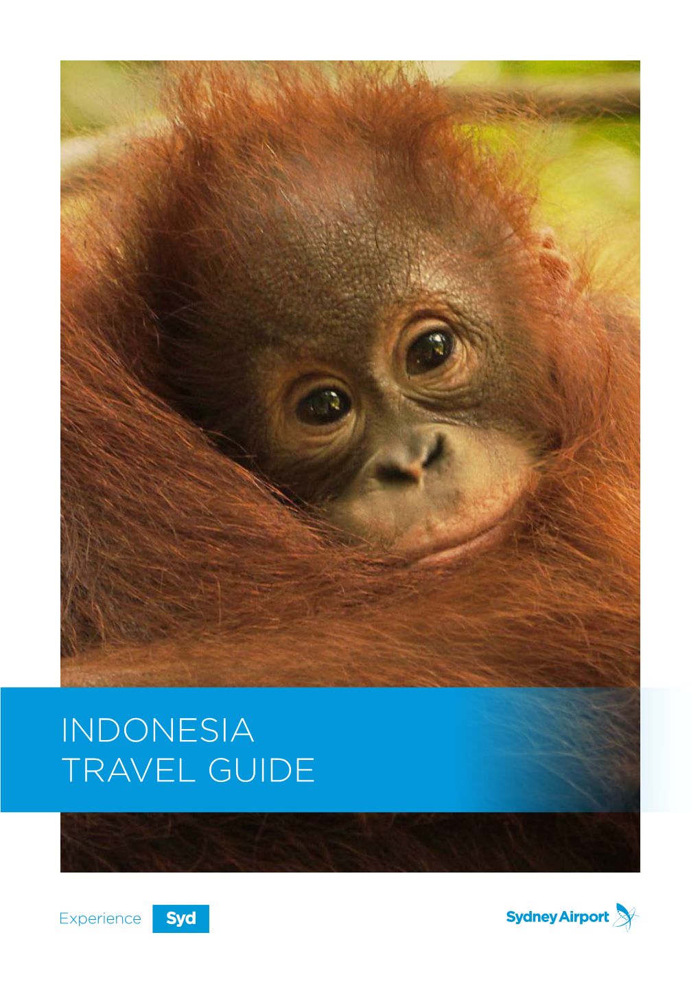 INDONESIA TRAVEL GUIDE This Travel Guide Is for Your General Information Only and Is Not Intended As Advice