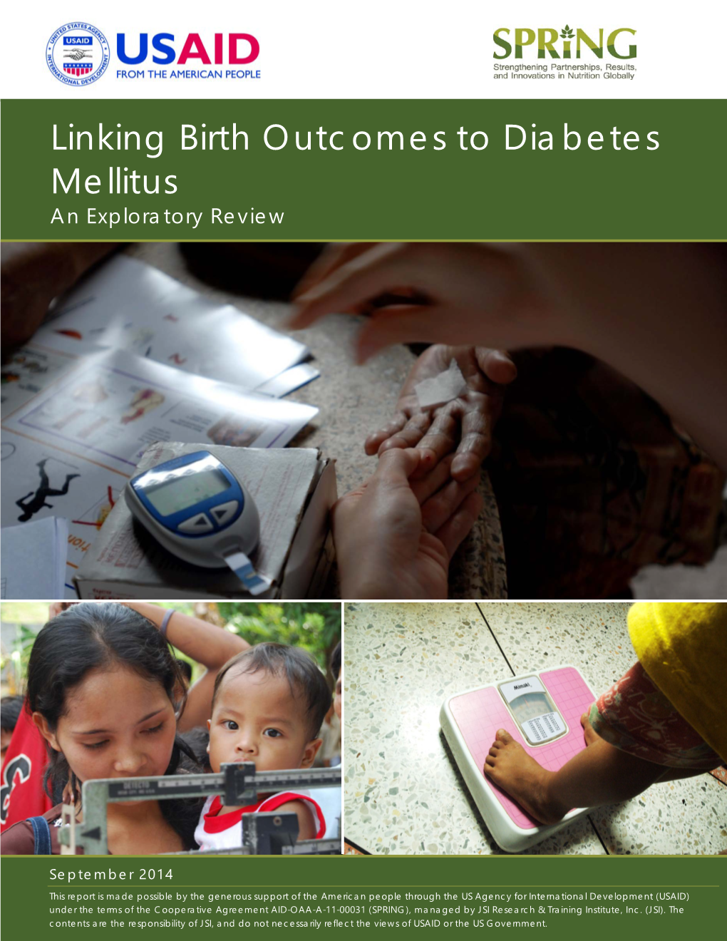 Linking Birth Outcomes to Diabetes Mellitus: and Exploratory Review