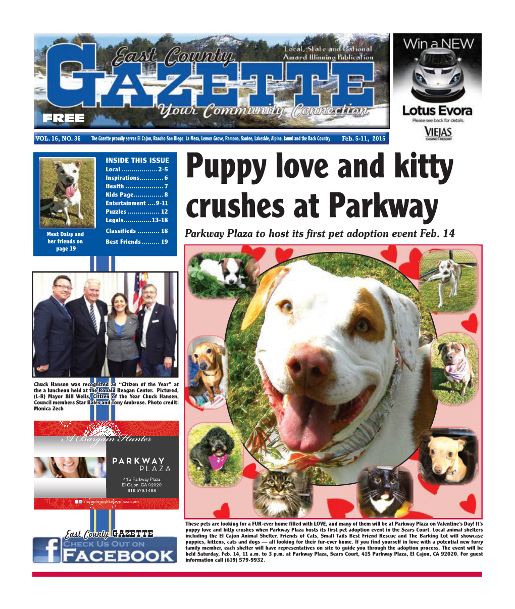 Puppy Love and Kitty Crushes at Parkway