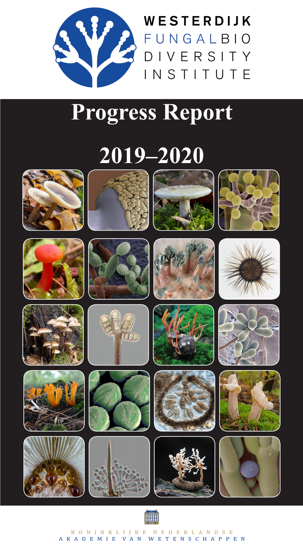 Progress Report 2019–2020