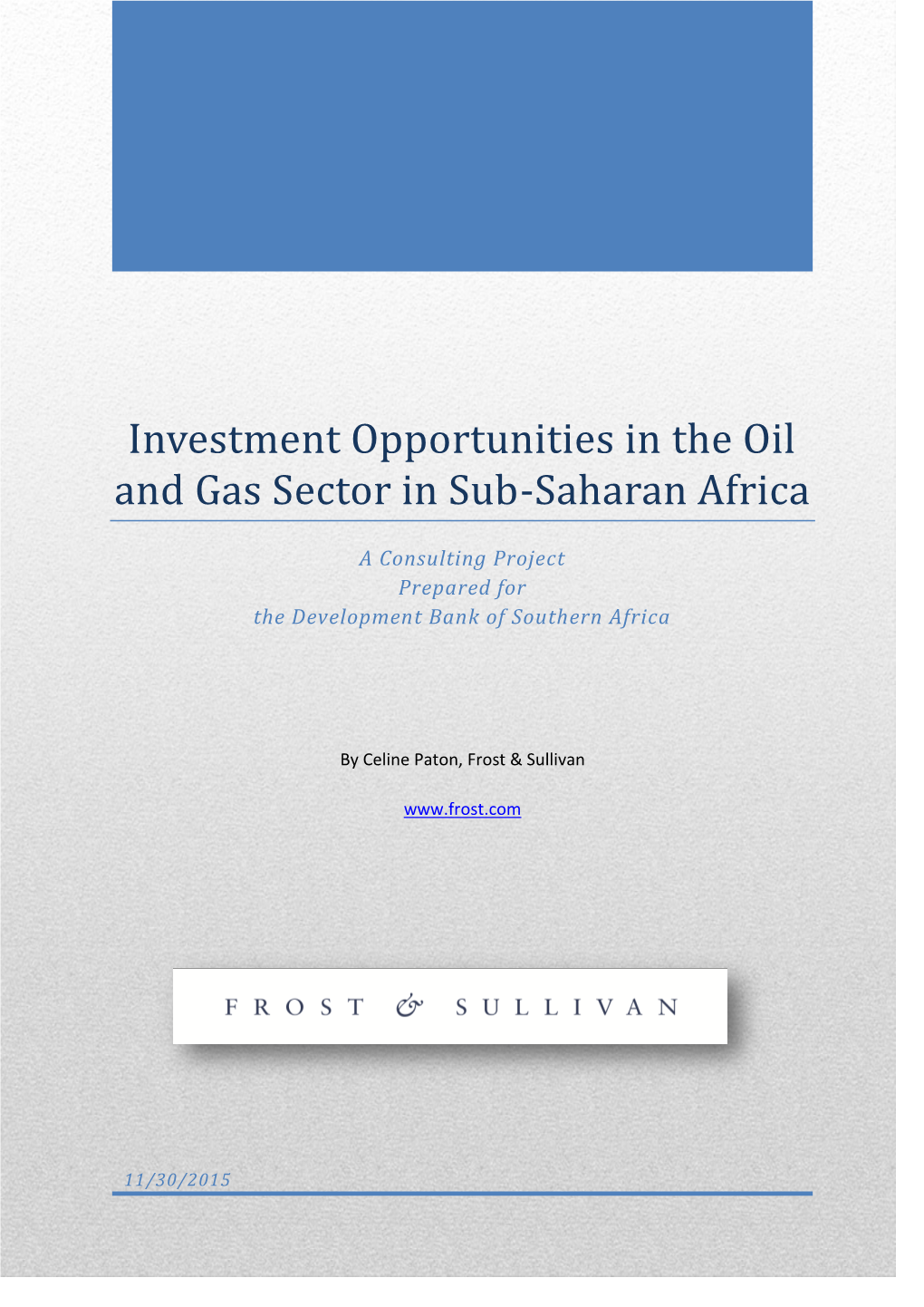 Investment Opportunities in the Oil and Gas Sector in Sub-Saharan Africa a Consulting Project Prepared for the Development Bank of Southern Africa