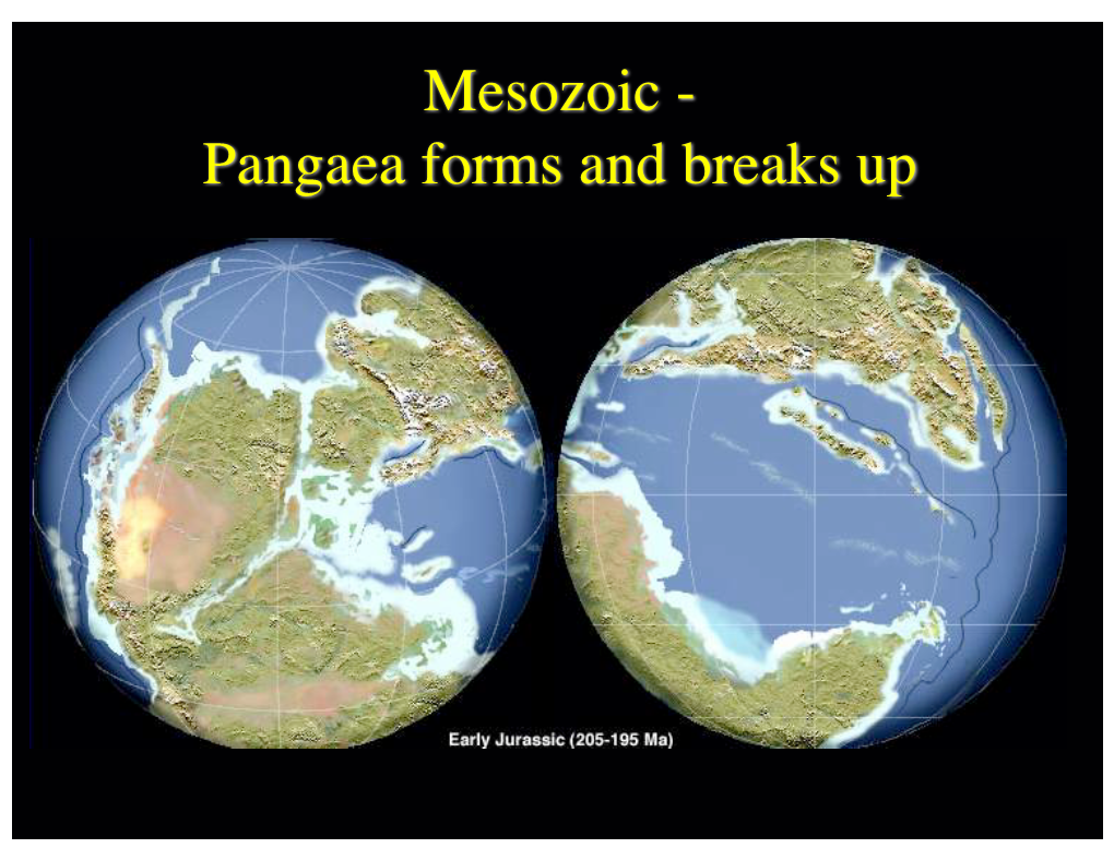 Mesozoic - Pangaea Forms and Breaks up Extinct Land Plants - the Fossil Record