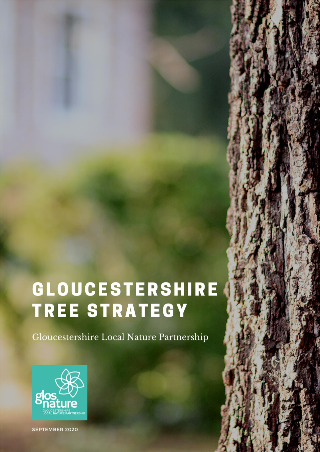 Gloucestershire Tree Strategy