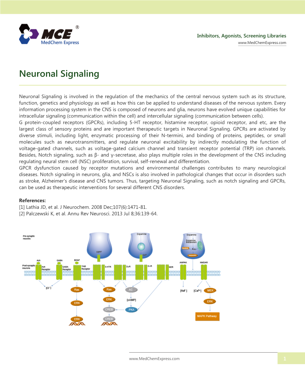 Neuronal Signaling