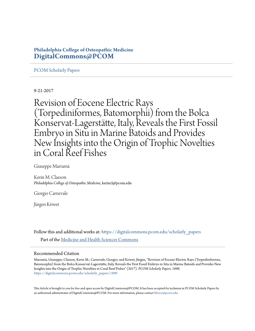 Revision of Eocene Electric Rays