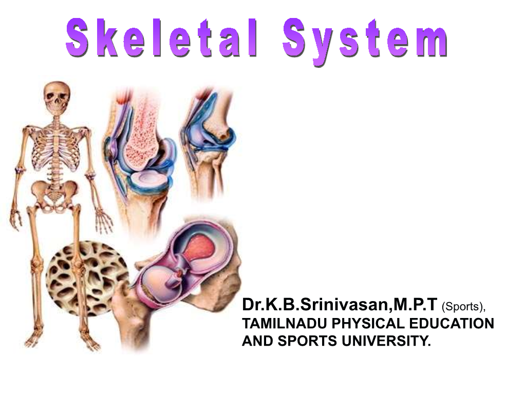 Skeletal System