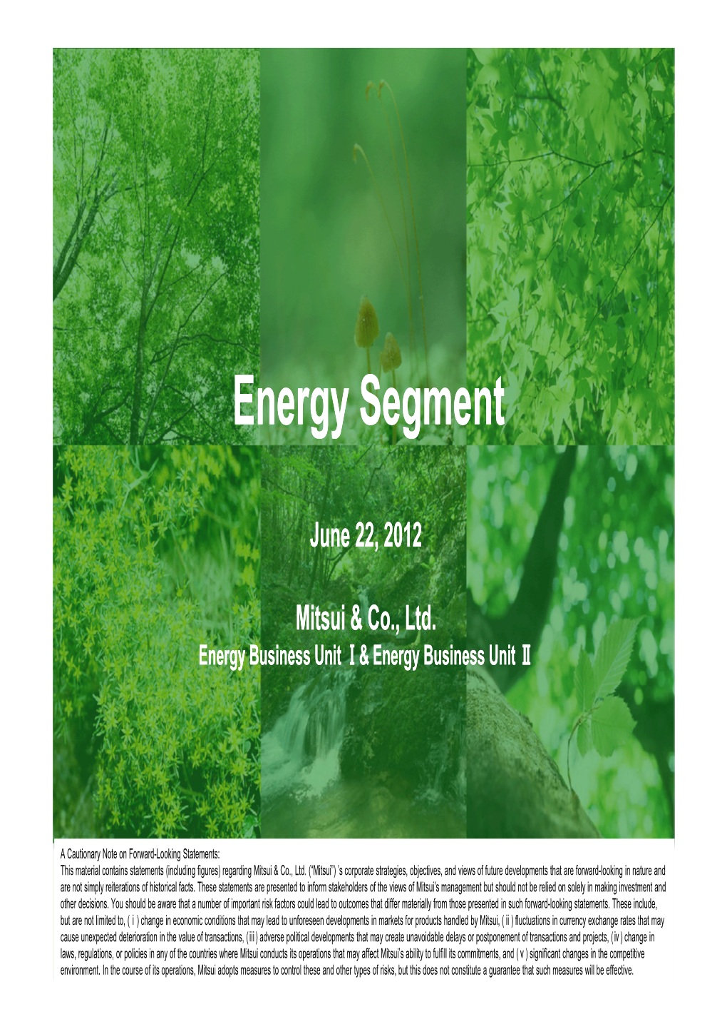 Energy Segment