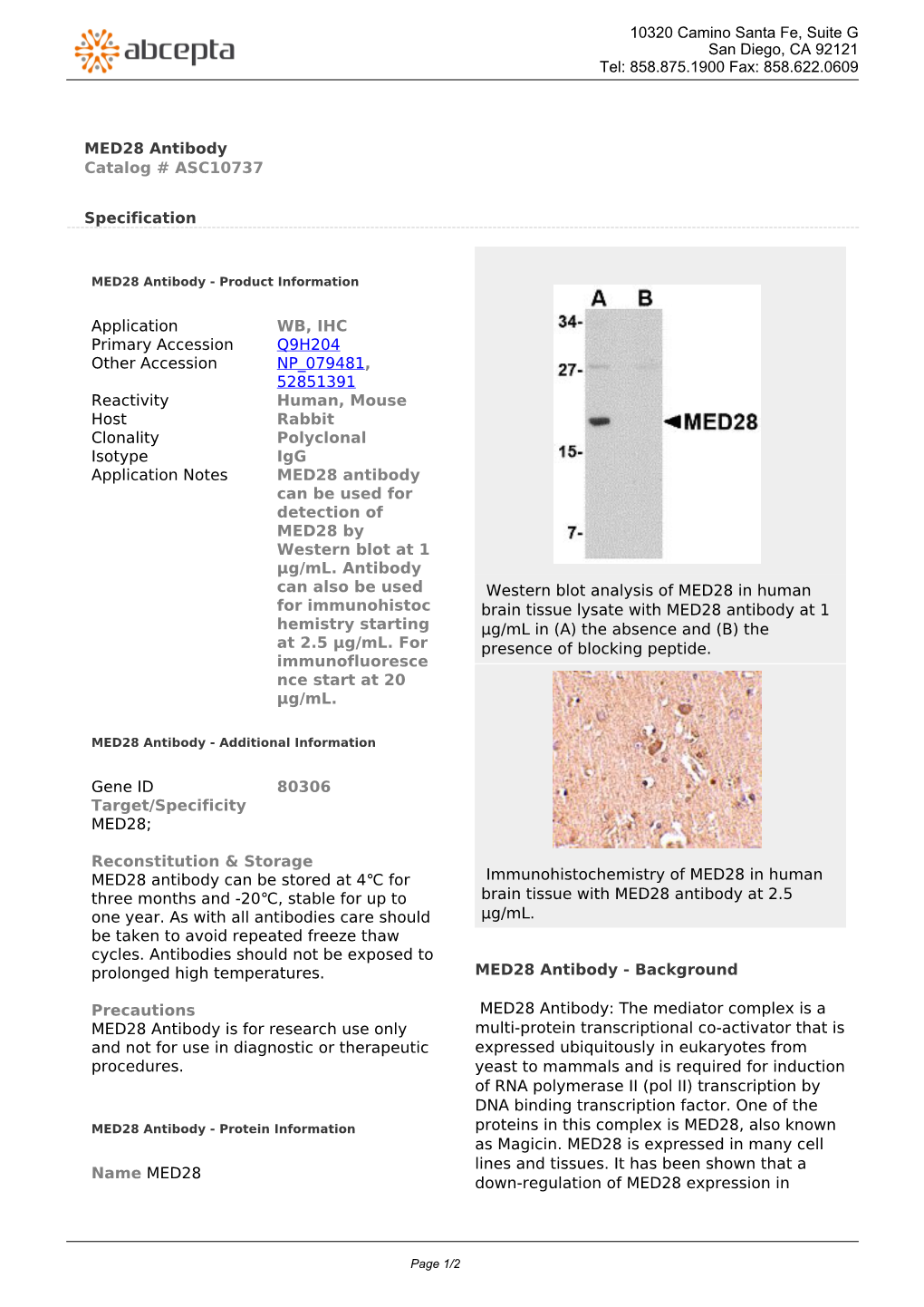 MED28 Antibody Catalog # ASC10737