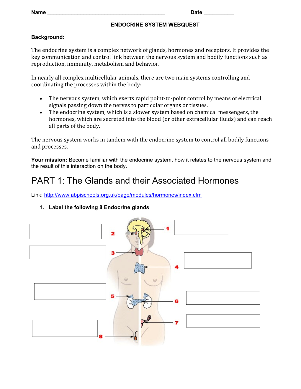 Endocrine System Webquest