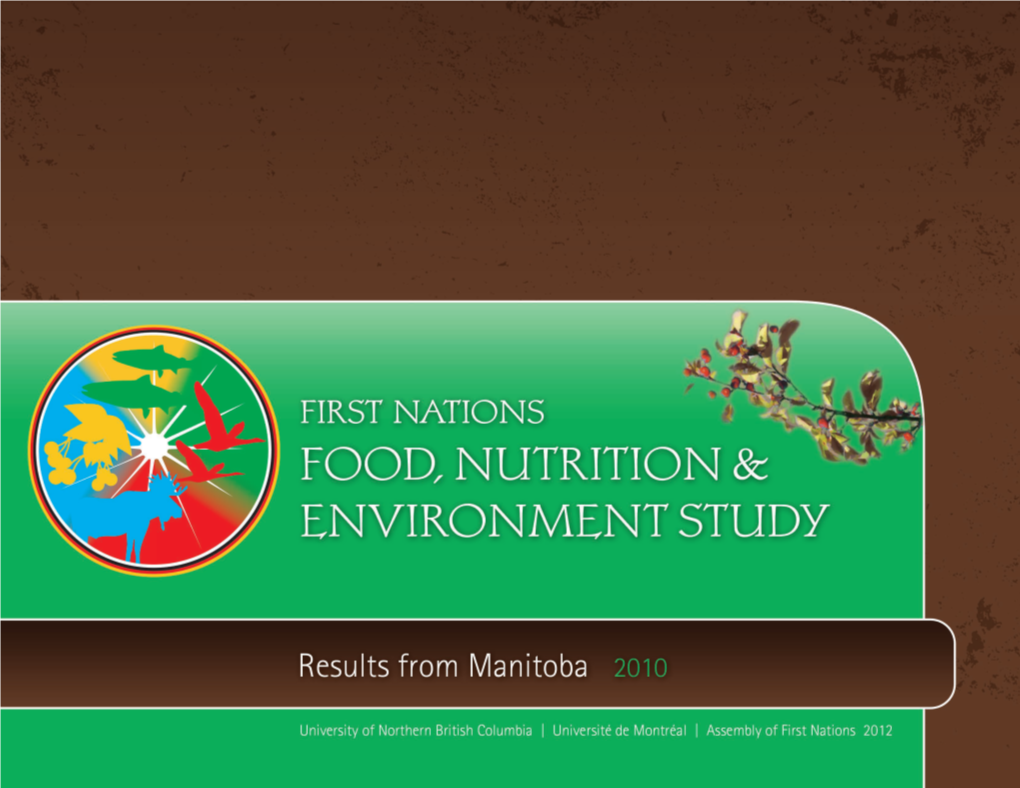 FNFNES Manitoba Regional Report ENGLISH