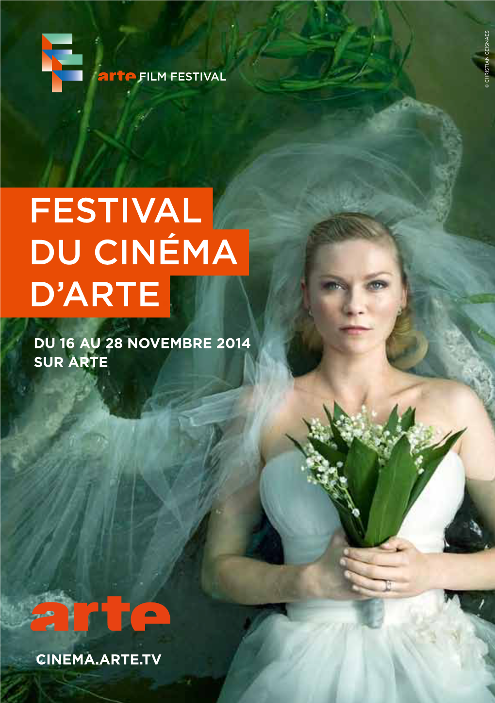 Festival Du Cinéma D'arte