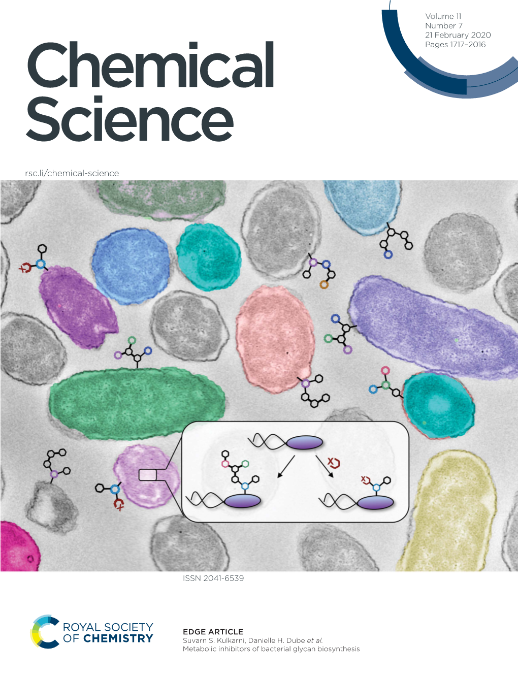 Metabolic Inhibitors of Bacterial Glycan Biosynthesis Chemical Science