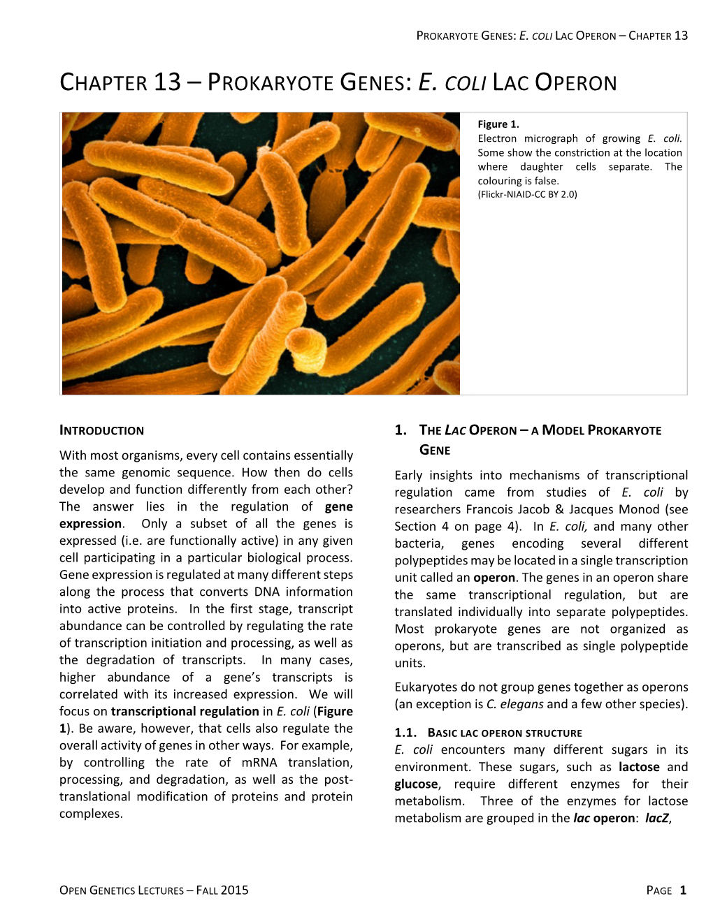 Chapter 13 – Prokaryote Genes: E. Coli Lac Operon