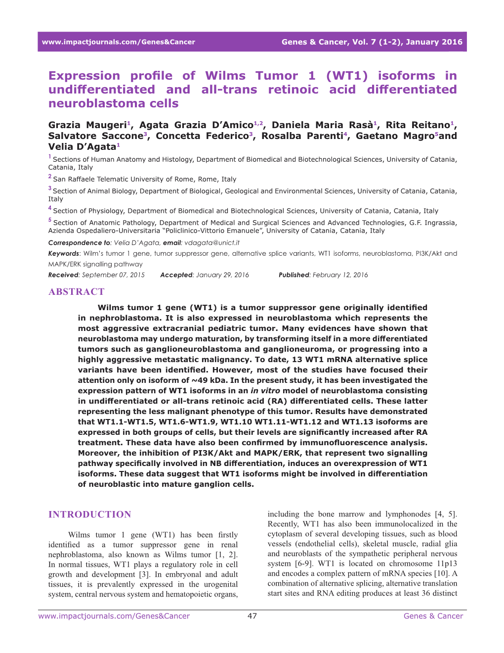 (WT1) Isoforms in Undifferentiated and All-Trans Retinoic Acid Differentiated Neuroblastoma Cells