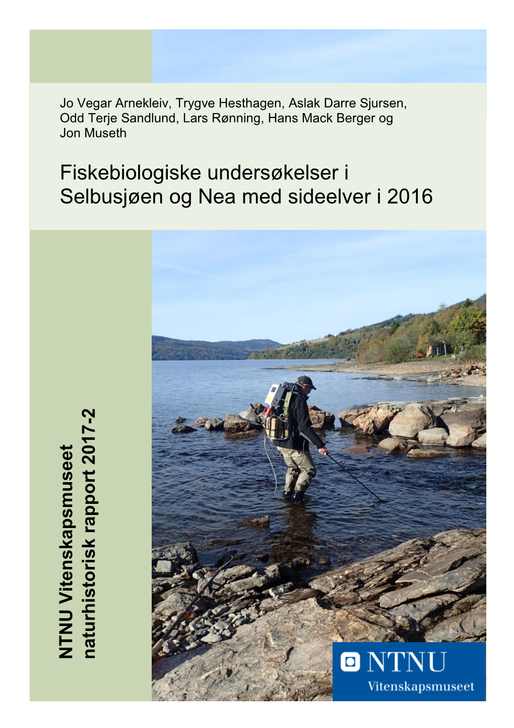 Fiskebiologiske Undersøkelser I Selbusjøen Og Nea Med Sideelver I 2016