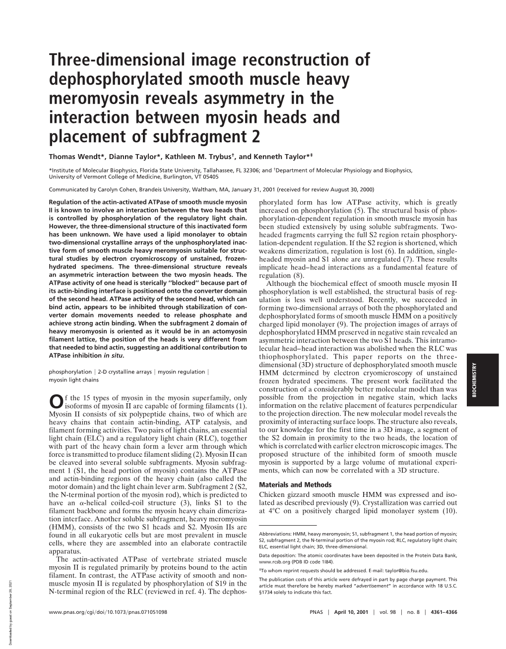 Three-Dimensional Image Reconstruction of Dephosphorylated