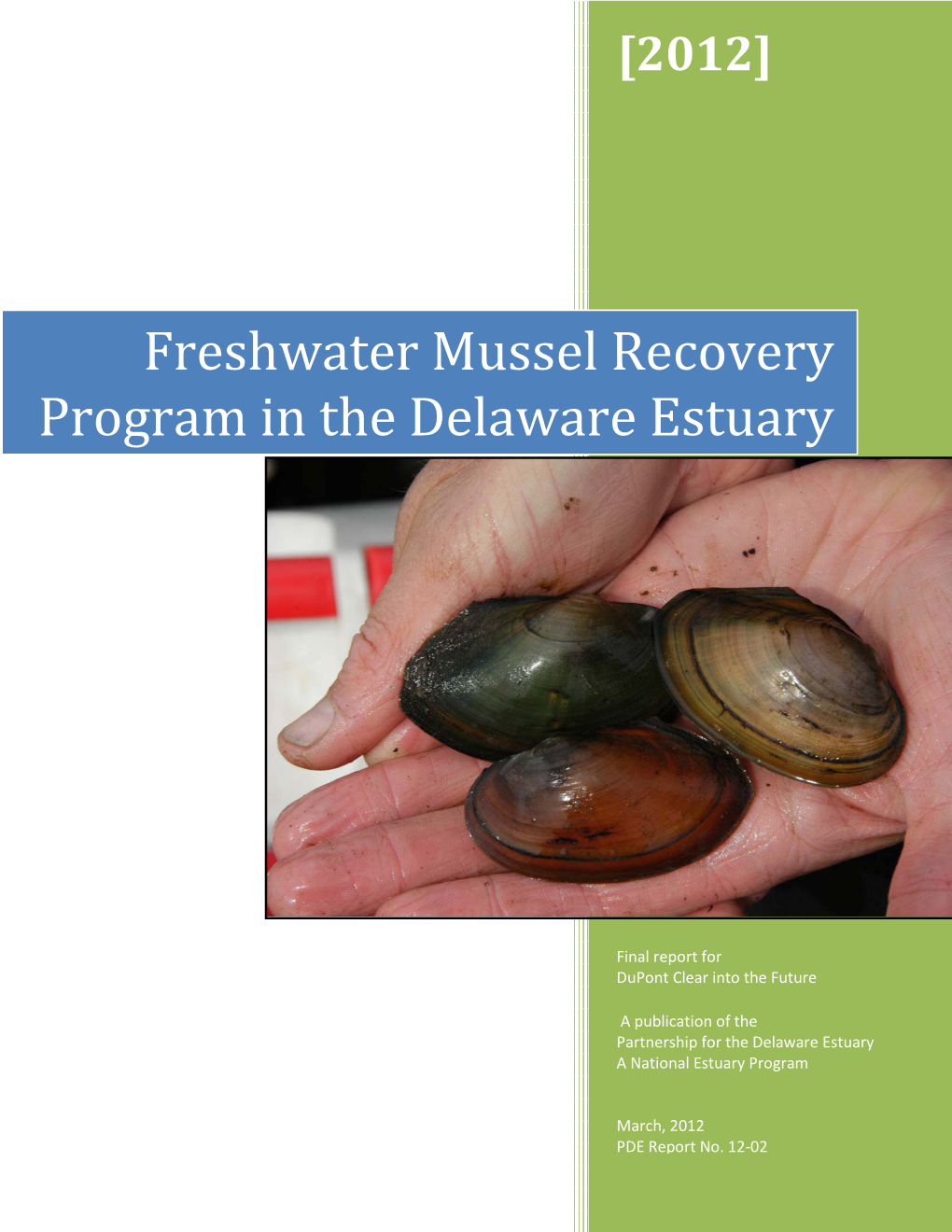 Freshwater Mussel Recovery Program in the Delaware Estuary