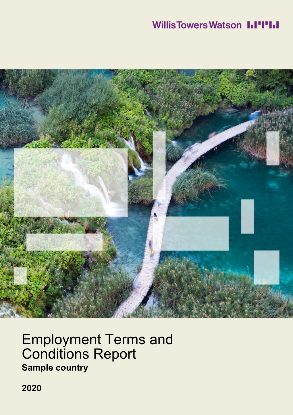 Employment Terms and Conditions Report Sample Country