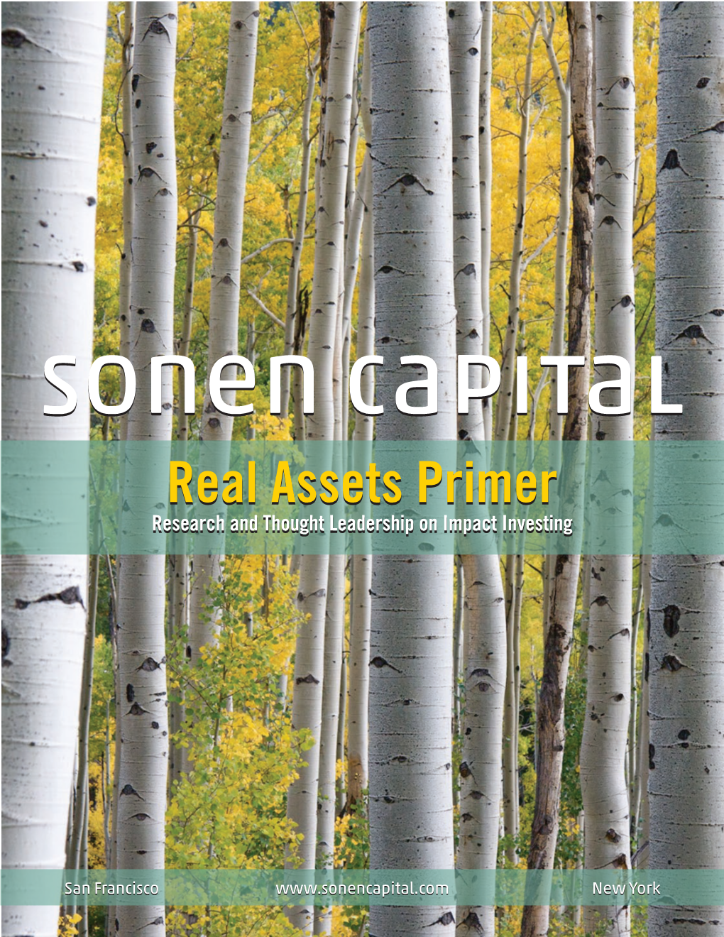 Real Assets Primer Research and Thought Leadership on Impact Investing