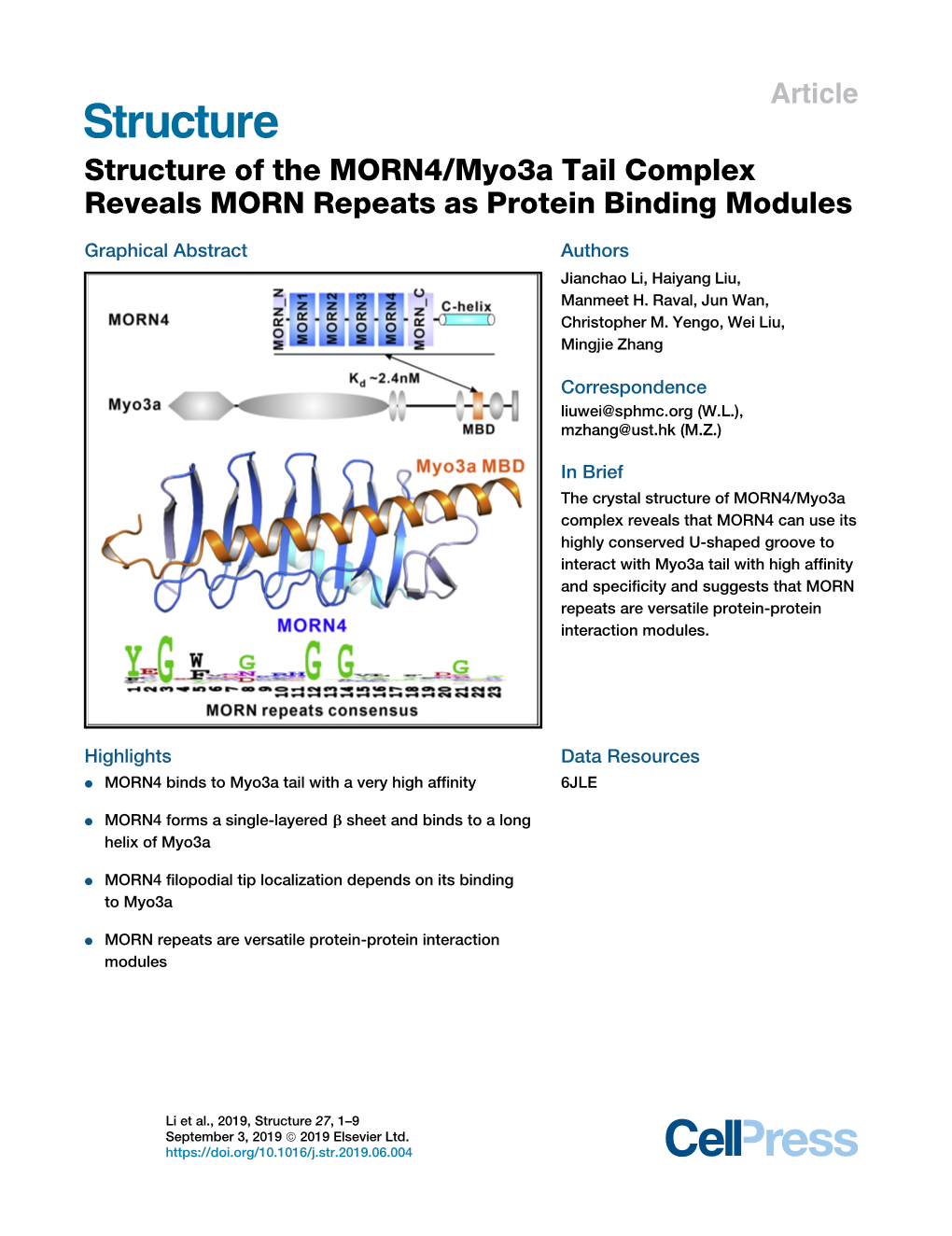 Structure of the MORN4/Myo3a Tail Complex Reveals MORN Repeats As Protein Binding Modules