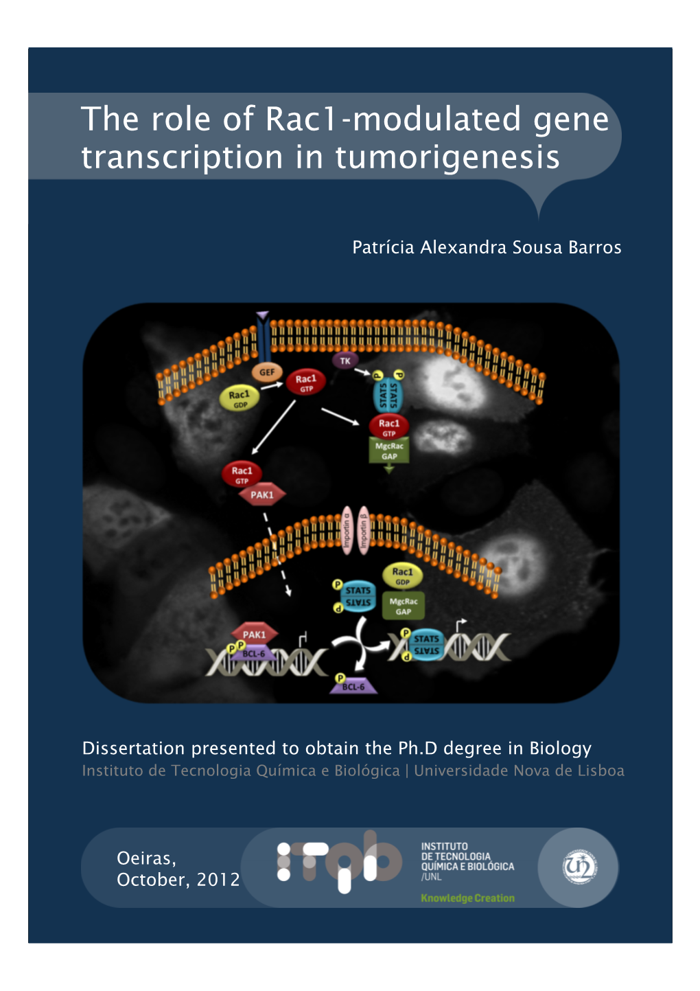 The Role of Rac1-Modulated Gene Transcription in Tumorigenesis