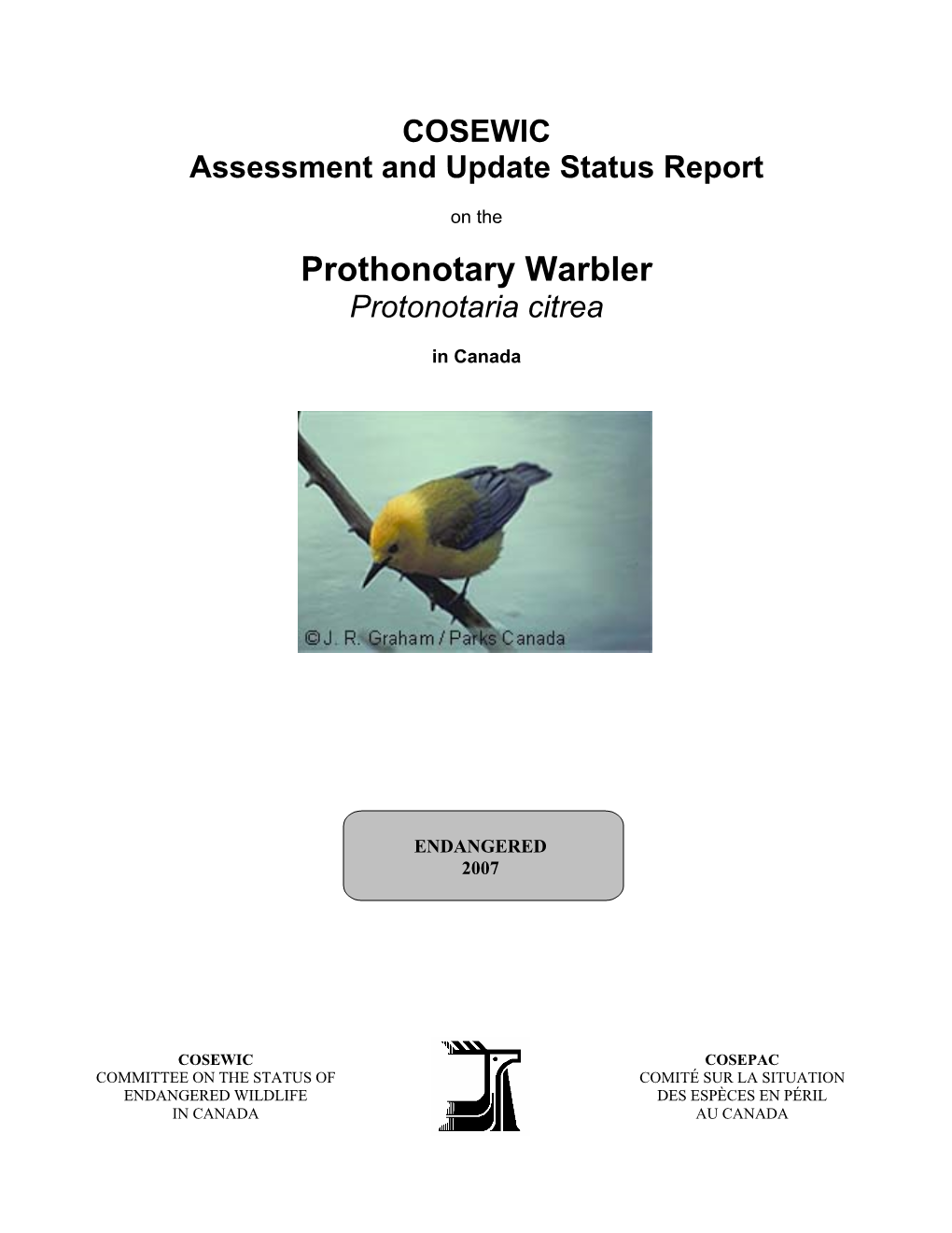 Prothonotary Warbler (Protonotaria Citrea) in Canada