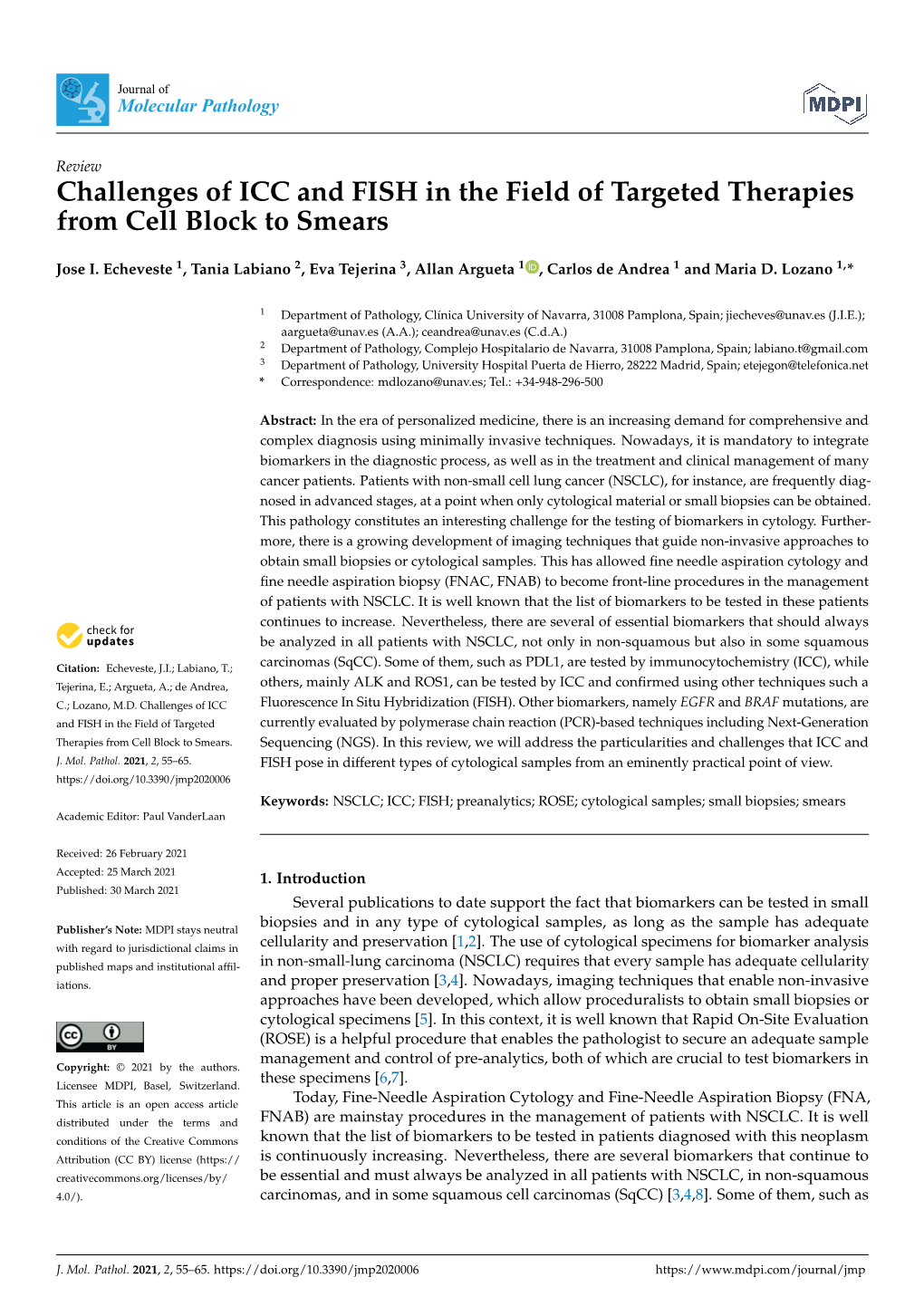 Challenges of ICC and FISH in the Field of Targeted Therapies from Cell Block to Smears