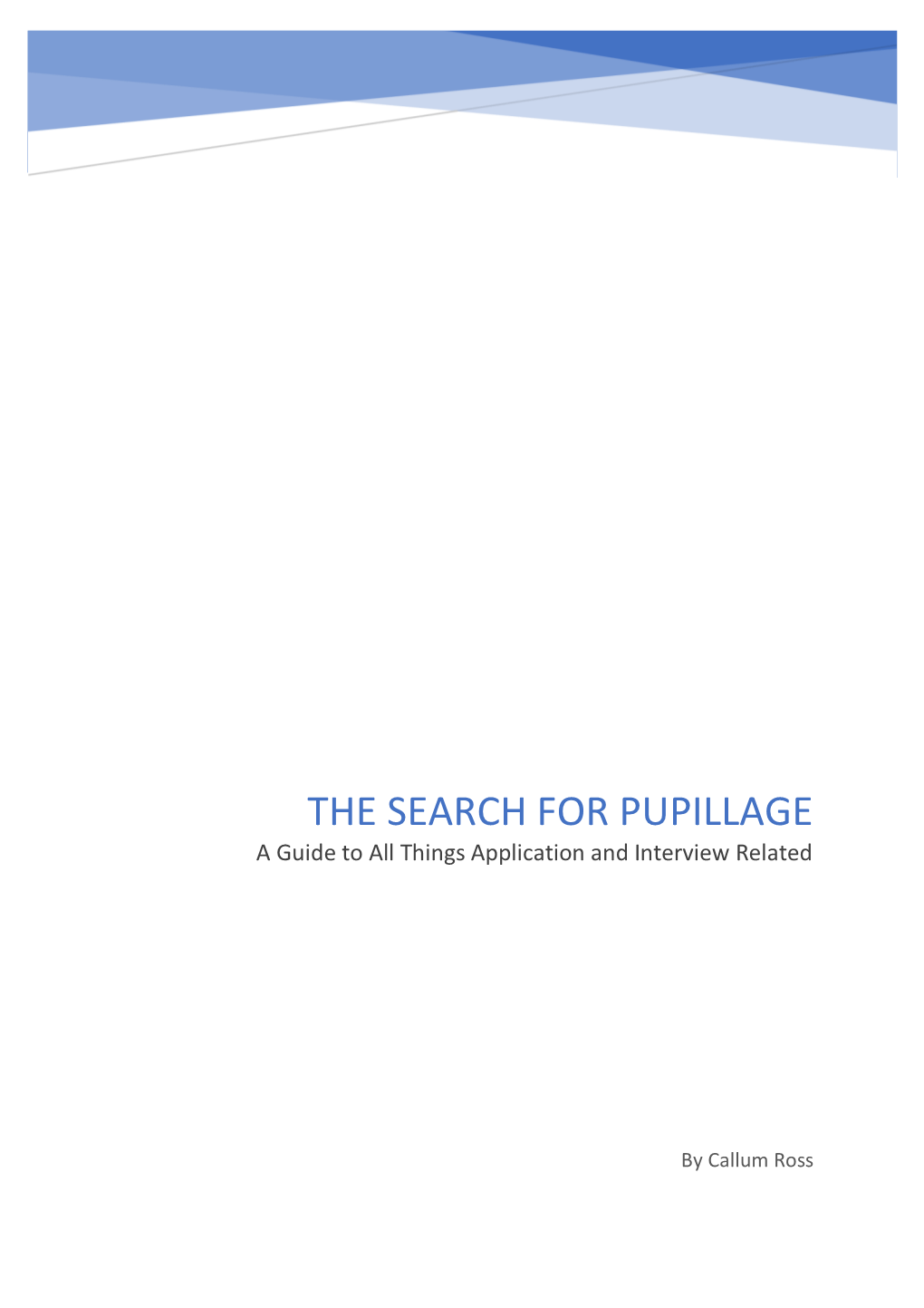 THE SEARCH for PUPILLAGE a Guide to All Things Application and Interview Related