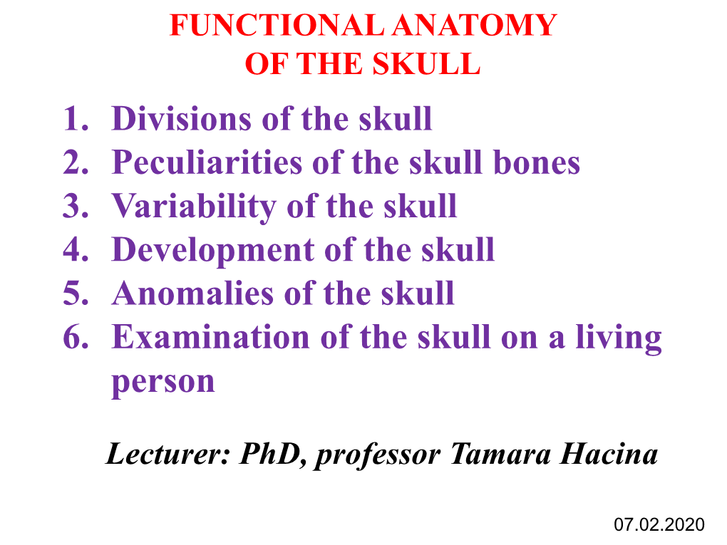 1. Divisions of the Skull 2. Peculiarities of the Skull Bones 3. Variability of the Skull 4