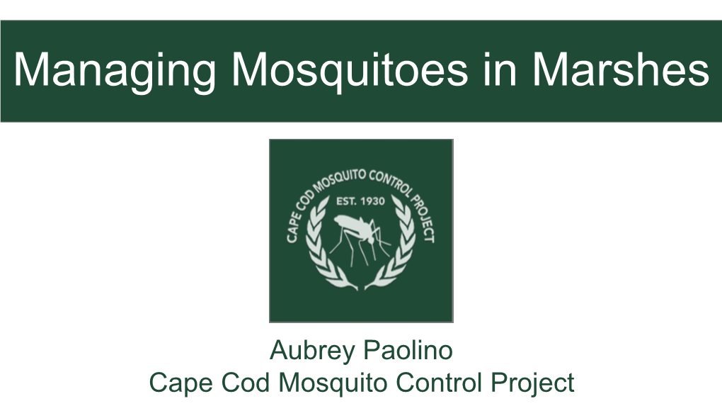Managing Mosquitoes in Marshes