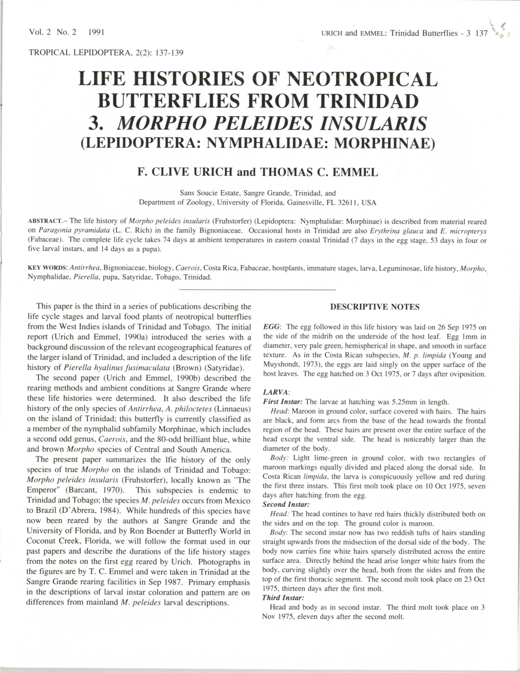 Life Histories of Neotropical Butterflies from Trinidad 3. Morpho Peleides Insularis (Lepidoptera: Nymphalidae: Morphinae)