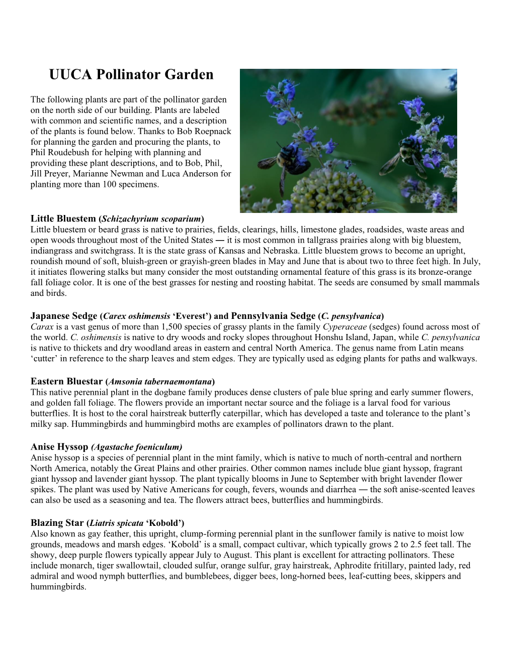 Pollinator List