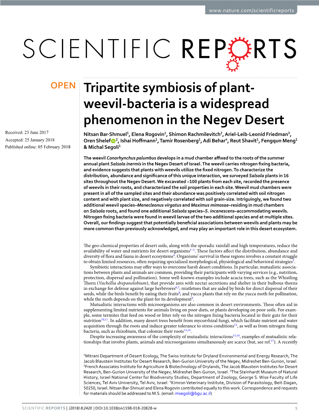 Weevil-Bacteria Is a Widespread Phenomenon in the Negev Desert