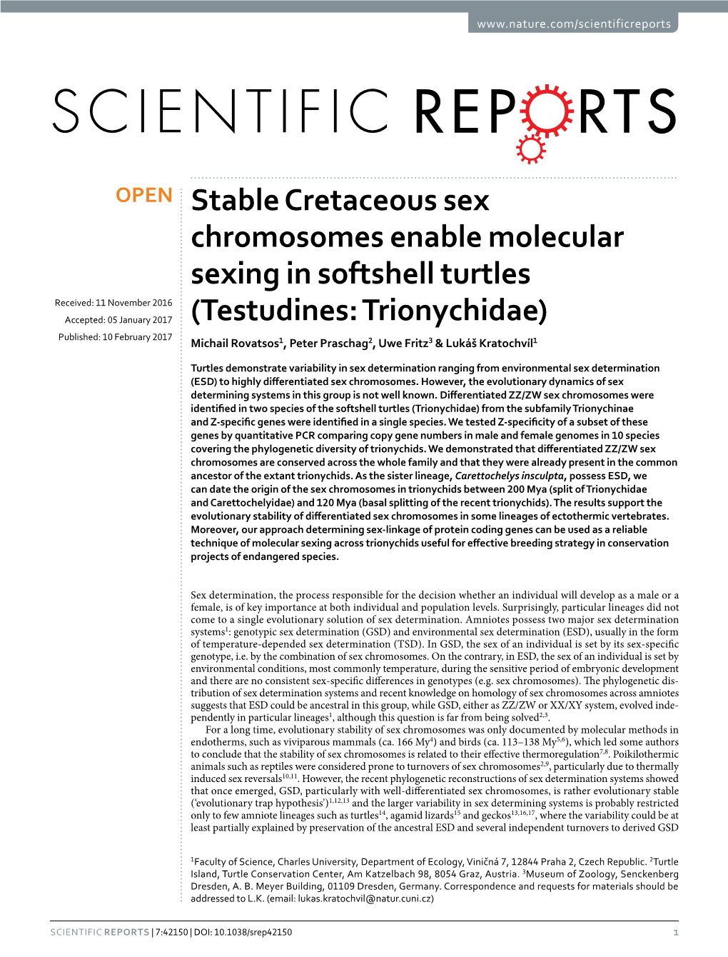 Stable Cretaceous Sex Chromosomes Enable Molecular Sexing in Softshell