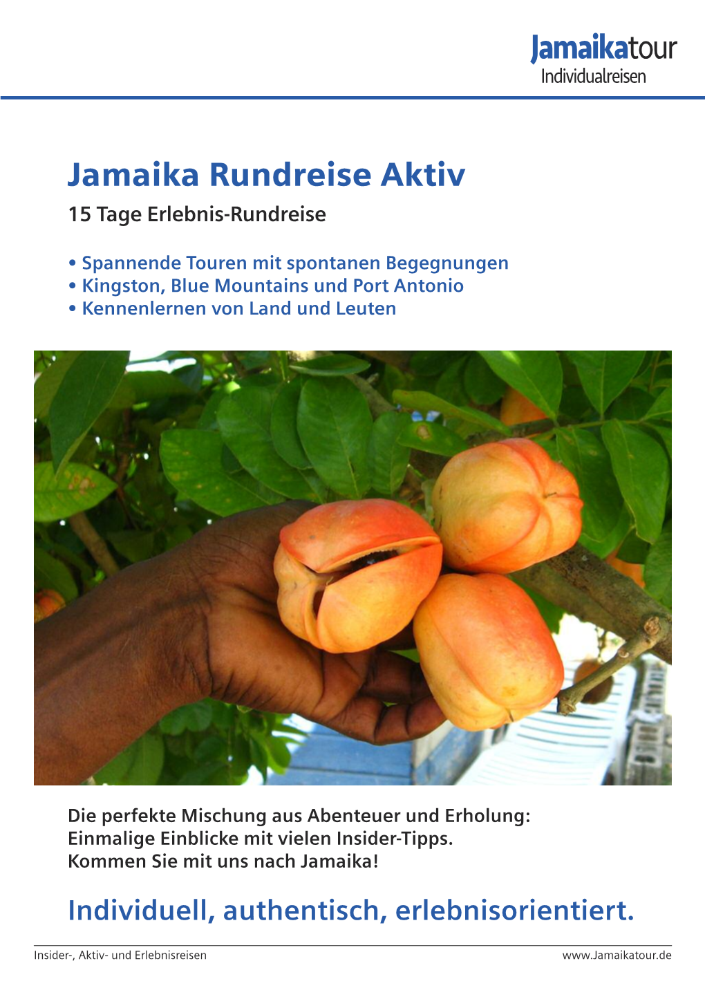 Jamaika Rundreise Aktiv & Wandern