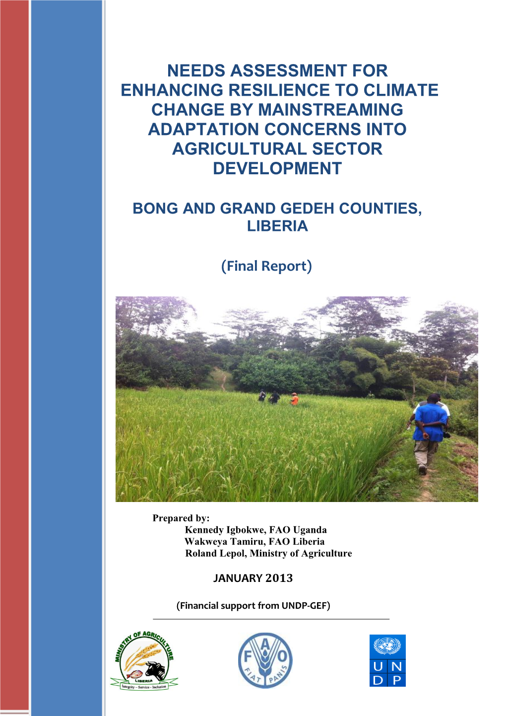 BONG and GRAND GEDEH COUNTIES, LIBERIA (Final Report)