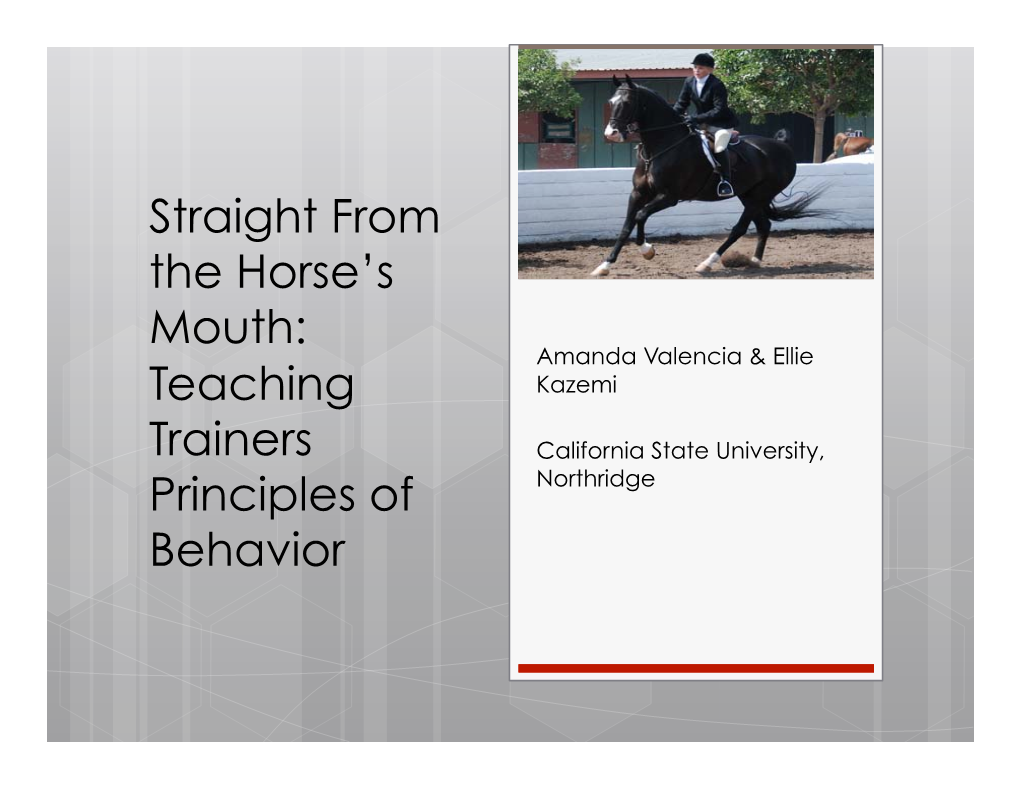 Straight from the Horse's Mouth: Teaching Trainers Principles Of