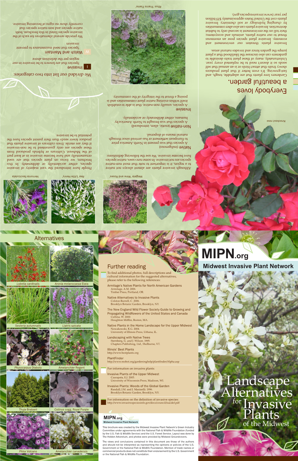 MIPN.Org Landscape Alternatives for Invasive Plants