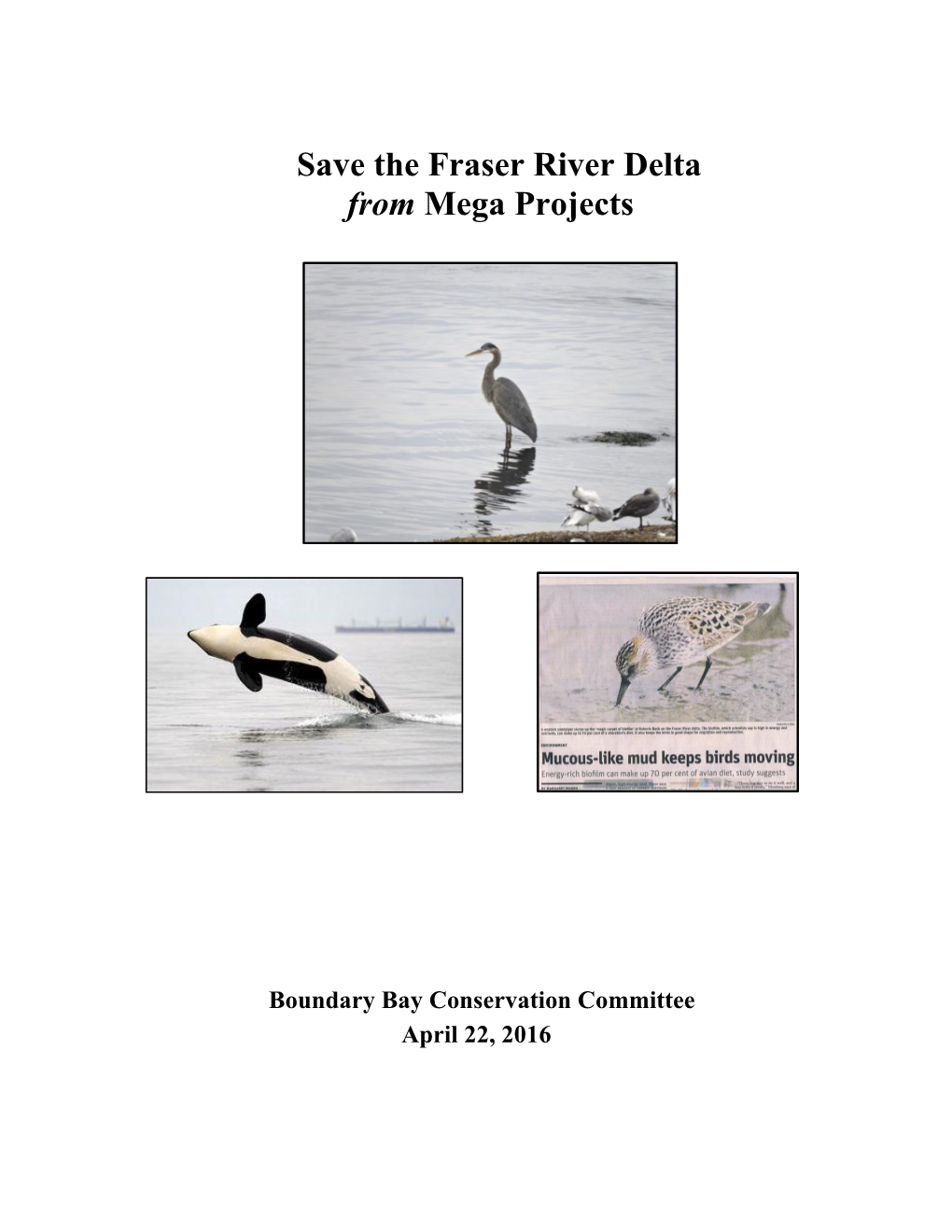 Save the Fraser River Delta from Mega Projects