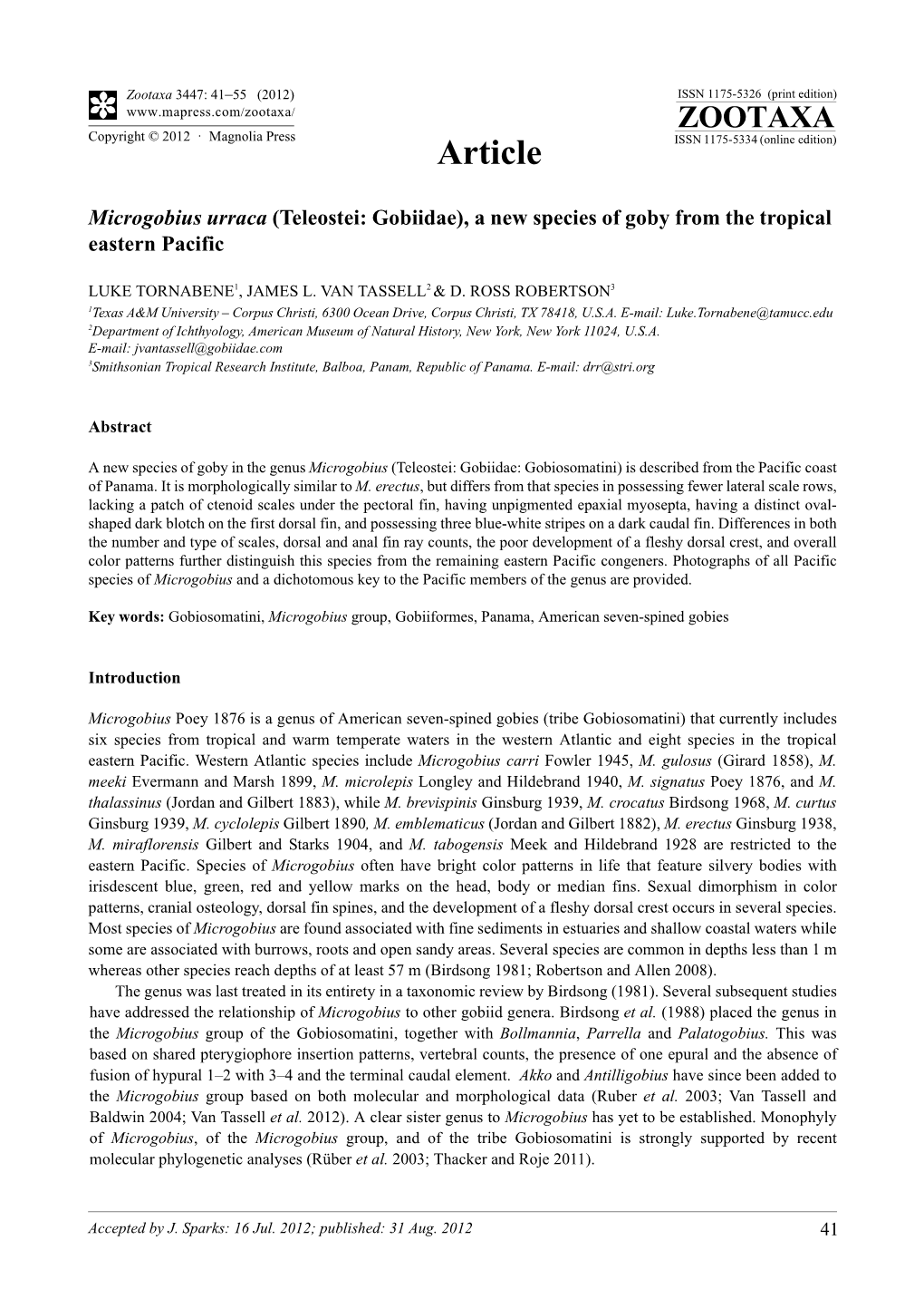 Microgobius Urraca (Teleostei: Gobiidae), a New Species of Goby from the Tropical Eastern Pacific