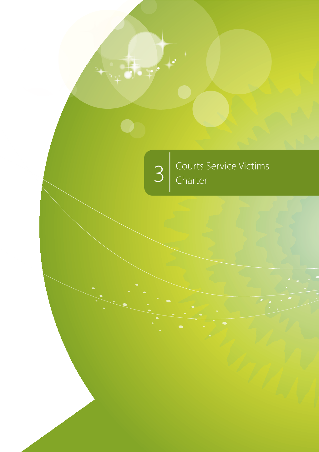 3 Courts Service Victims Charter
