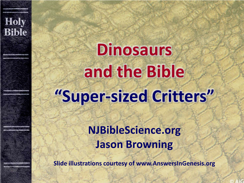 Dinosaurs and the Bible “Super-Sized Critters”