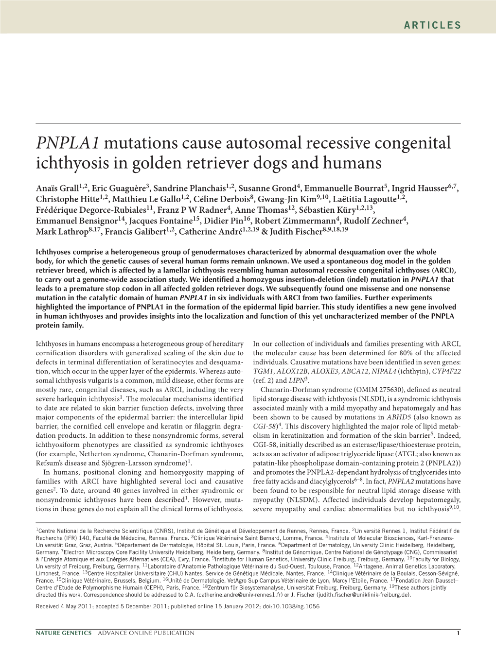 PNPLA1 Mutations Cause Autosomal Recessive Congenital Ichthyosis in Golden Retriever Dogs and Humans
