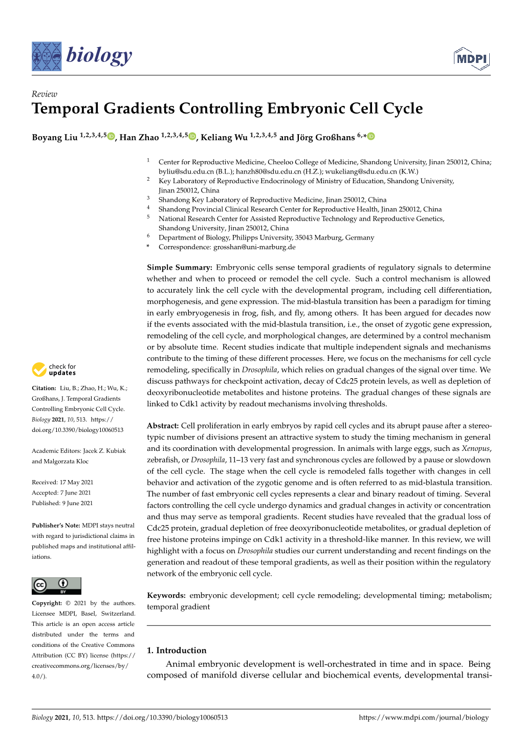 Temporal Gradients Controlling Embryonic Cell Cycle