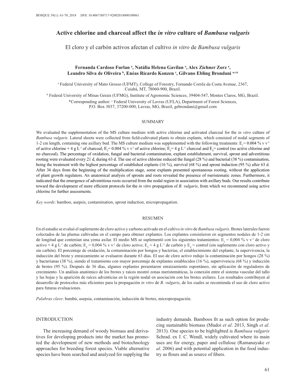 Active Chlorine and Charcoal Affect the in Vitro Culture of Bambusa Vulgaris