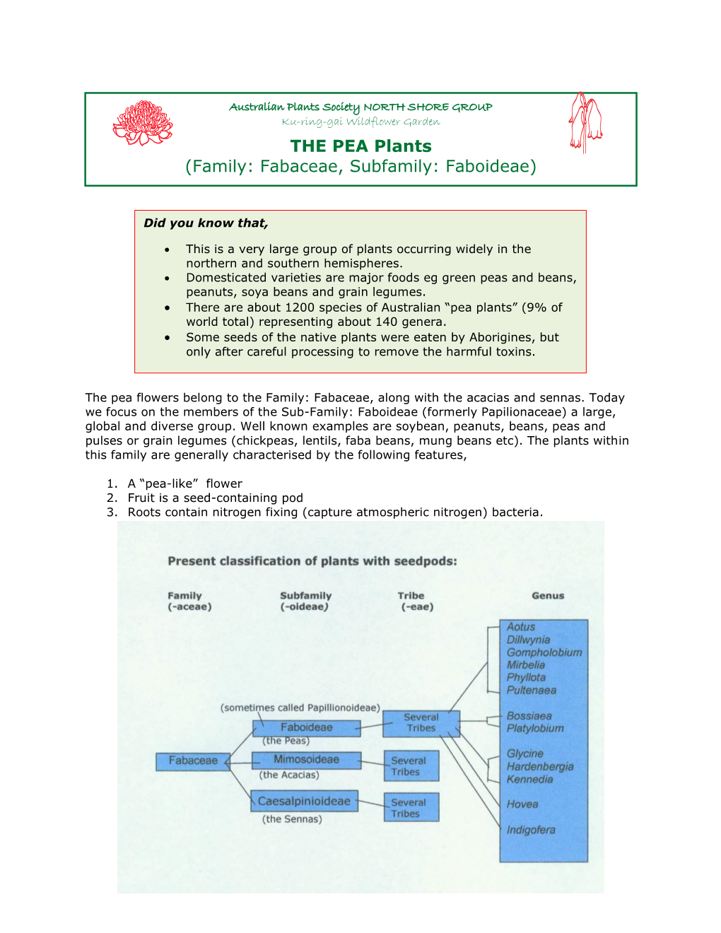 PEA Plants (Family: Fabaceae, Subfamily: Faboideae)