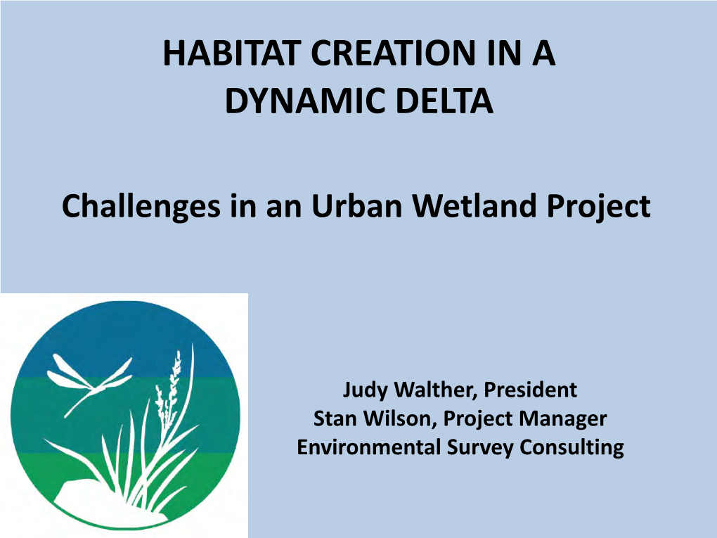 Habitat Creation in a Dynamic Delta
