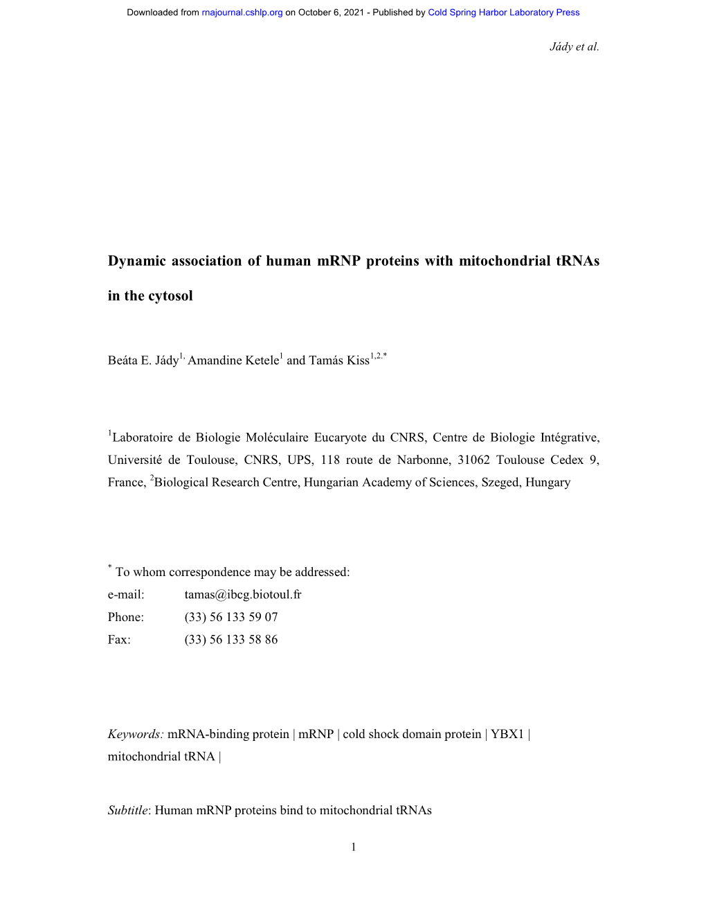 Dynamic Association of Human Mrnp Proteins with Mitochondrial Trnas in the Cytosol