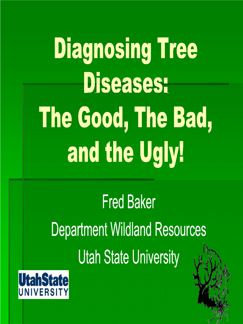 Diagnosing Tree Diseasesseasesseases: the Good, the Bad, and the Ugly!