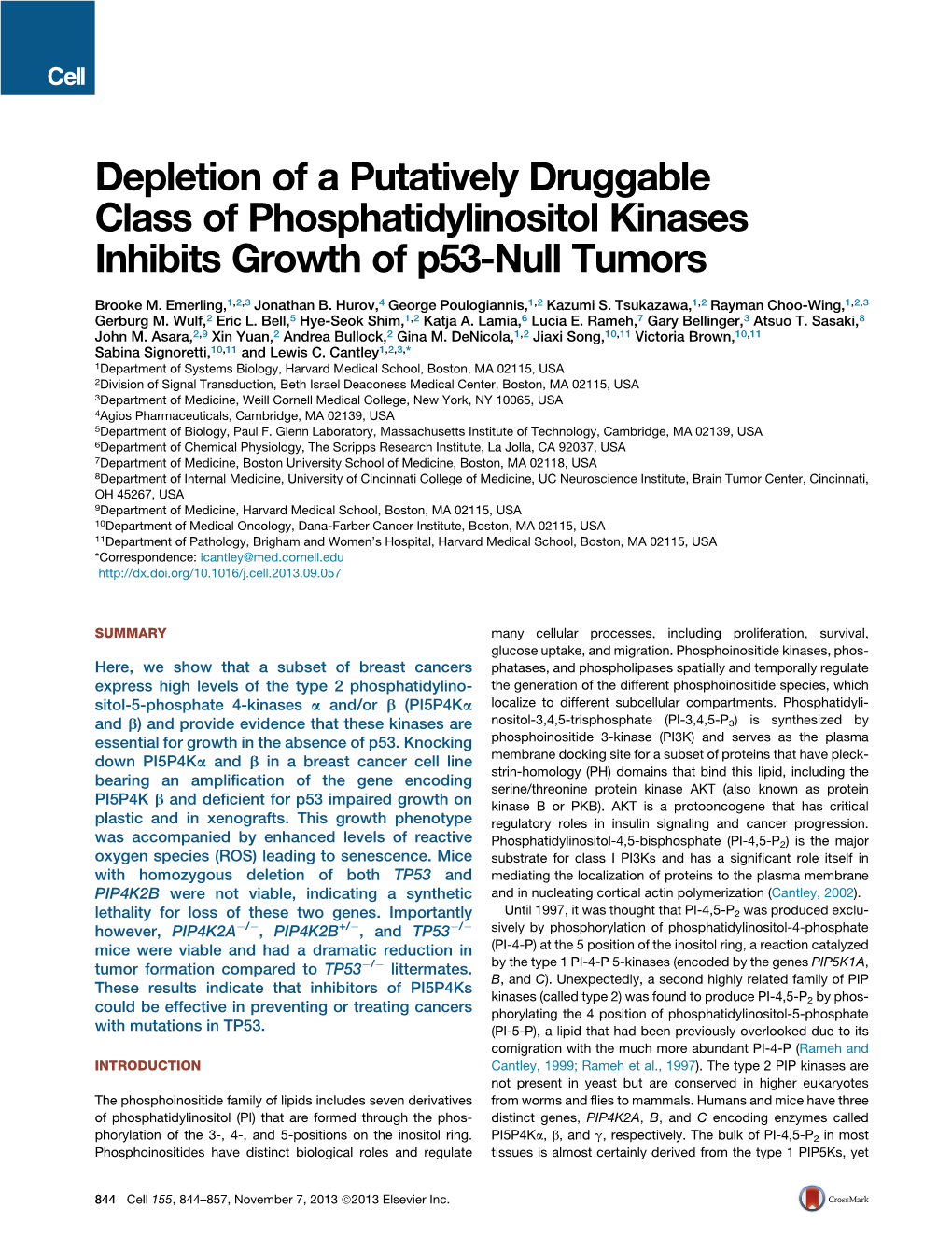 Depletion of a Putatively Druggable Class of Phosphatidylinositol Kinases Inhibits Growth of P53-Null Tumors